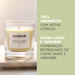 Vela Capim Limão e Gengibre aromas citricos